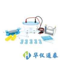 北京六一 DYCZ-24K、DYCZ-24KS型雙板垂直電泳儀