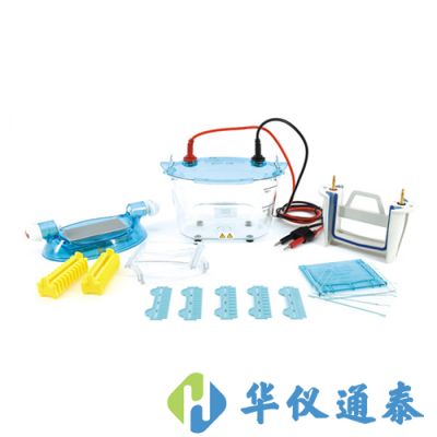 北京六一 DYCZ-24K、DYCZ-24KS型雙板垂直電泳儀
